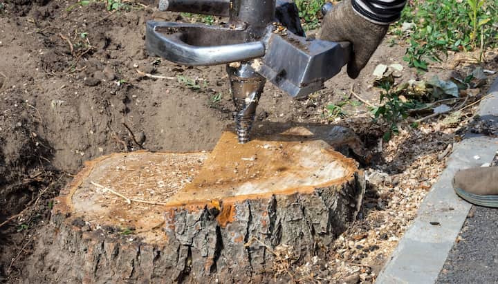 Milton stump grinding
